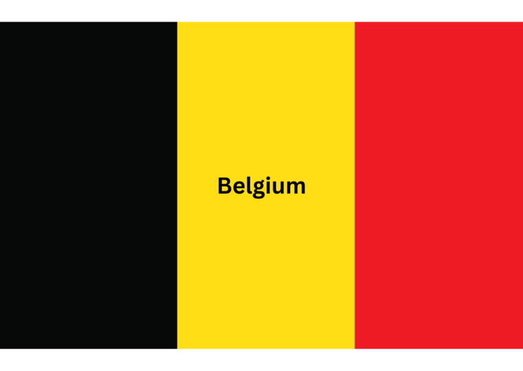 Belgium Research Internship